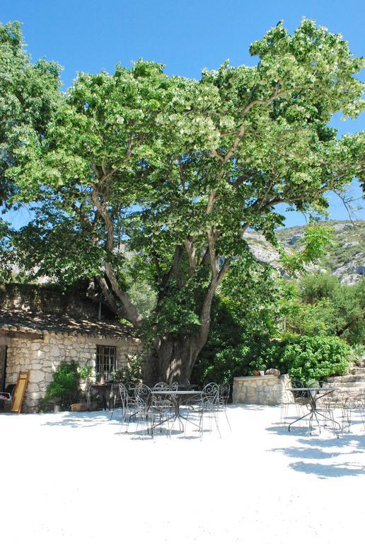 Bastide De La Lezardiere Fontaine-de-Vaucluse Eksteriør billede
